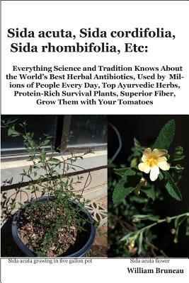 Sida acuta, Sida cordifolia, Sida rhombifolia, Etc.: Everything Science and Tradition Knows about the World's Best Herbal Antibiotics, Used by Million by Bruneau, William L.